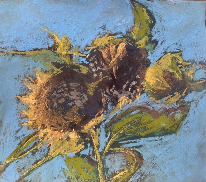 Last Sunflowers by artist julia fletcher